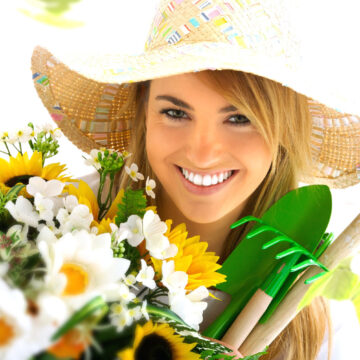 Nam liber tempor cum